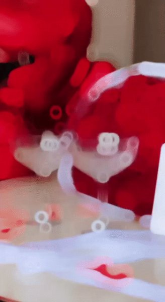 7bed258a0ee0781a3e3c6d325fb82169