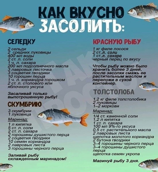 Солим рыбу