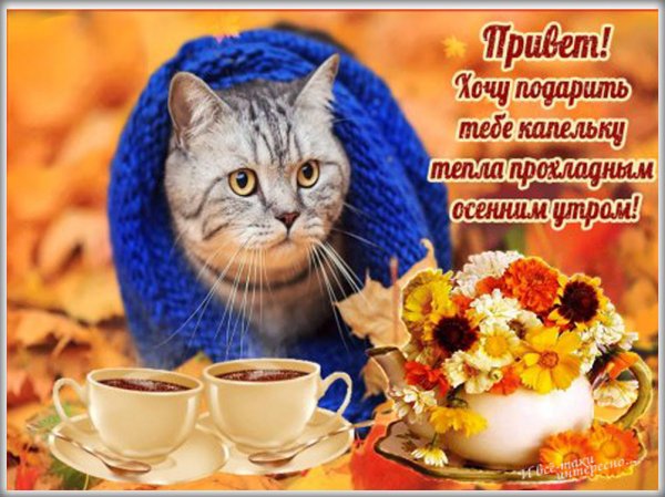 Dobroe-utro-horoshego-dny-ivseitaki-interesno-16