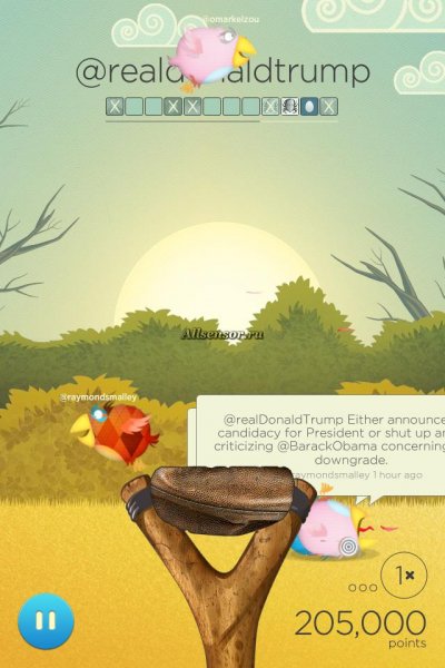 tweet hunt celebirdies 1.5.0