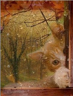 Котенька Флэшанимация