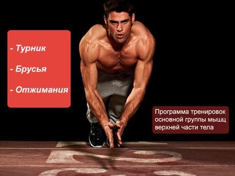Программа для турника брусьев и отжимани