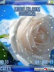 snowrose q89odhak