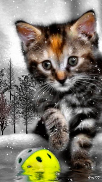 file_46048191