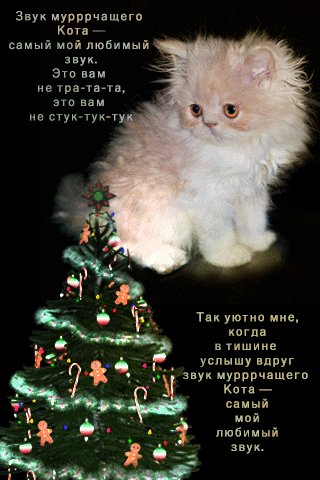 file_75792834