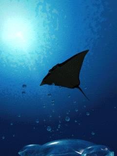 DeepBlue49