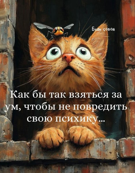 FB IMG 1776822378878