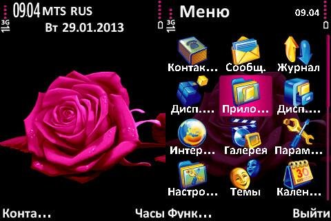 pinkrose