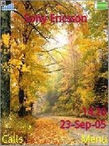 Autumn Colors 1