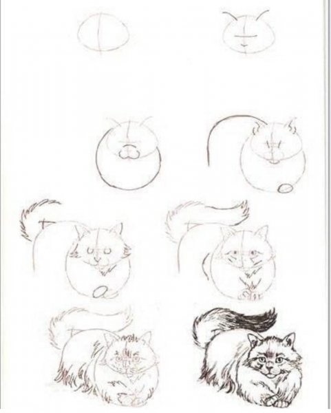 рисуем кота