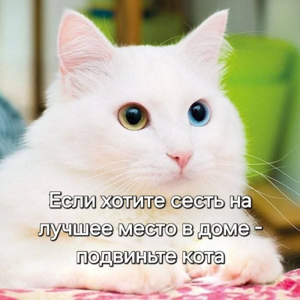 FB IMG 1774330947267