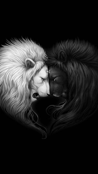 Sun and Moon Lions-7d211d22-5d17-4ea0-993b-d535f695da94
