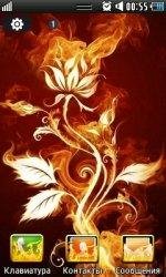 fire