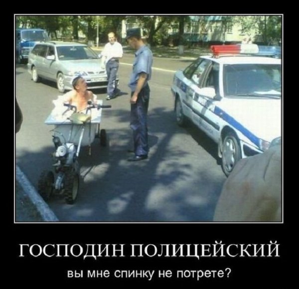Господин полицейский