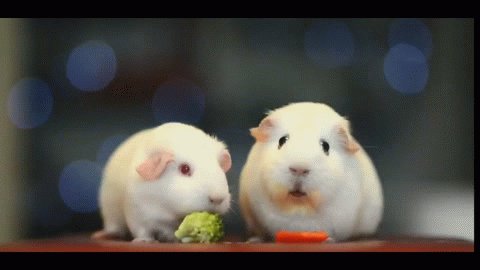 Когда Вдруг Понял, Что Ты Всего Лишь...