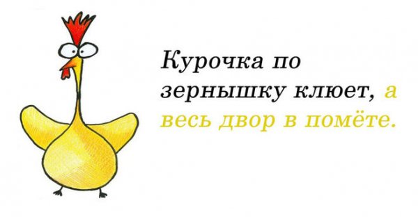 Курочка по зёрнышку клюёт, а весь двор в говне