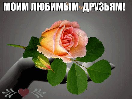 IMG 20161017 231449 16