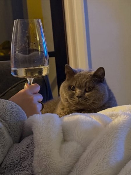 FB IMG 1772379664253