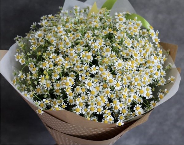 Букет ромашек..