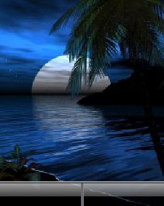 Ночьной ПляжПальмы