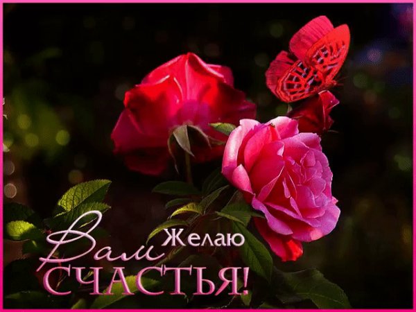 file_79930512