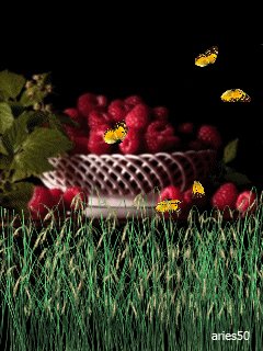 file_64210595