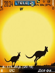 kangaroo by goodover
