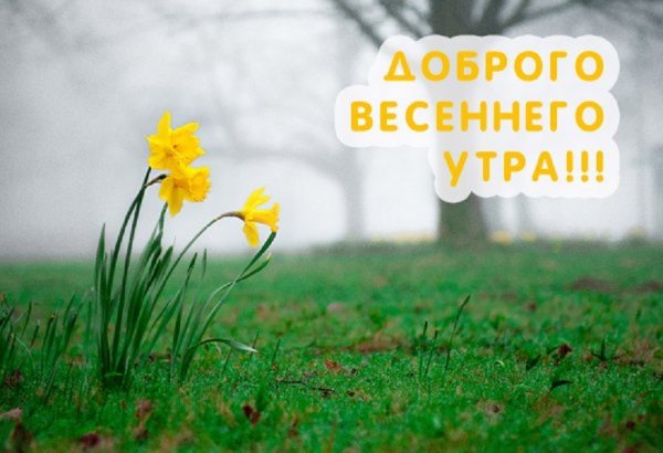 Доброго весеннего утра!
