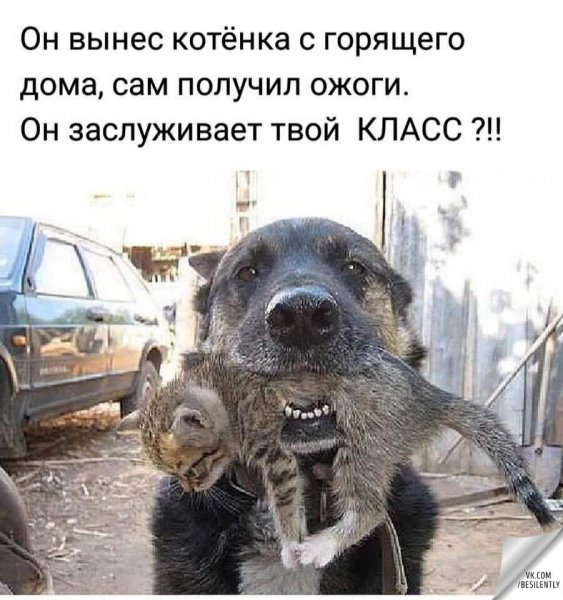 UID248057 1555762712 59