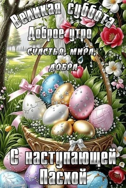 IMG-20260411-WA0011
