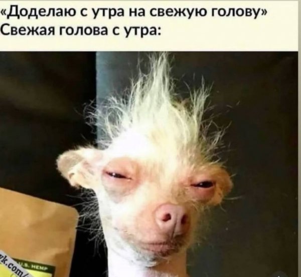 Мемчик