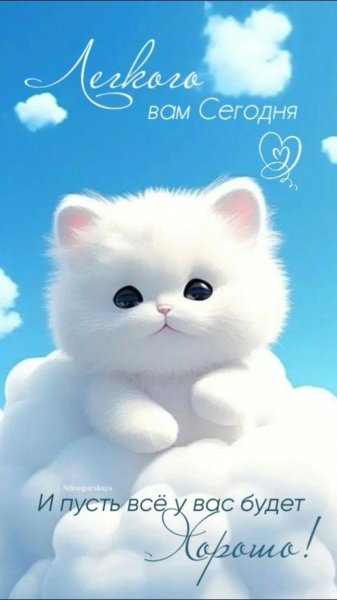Лёгкого вам сегодня!