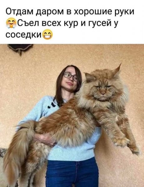 FB IMG 1775991860887