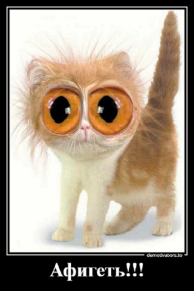Афигеть!!!