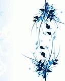 Blueand White