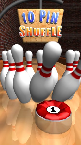 10 Pin Shuffle Pro Bowling