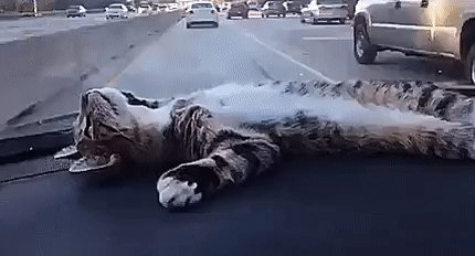 4c0b657f321603f-a-nw-p