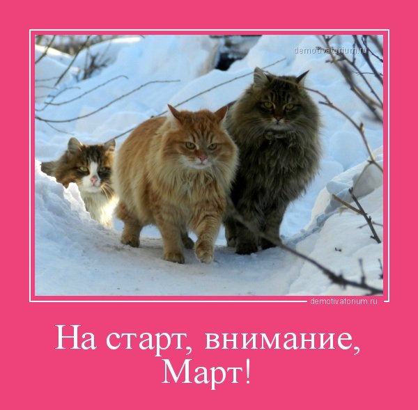 На старт внимание, март!