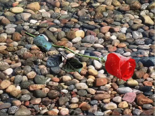 IMG 20161215 223515 7