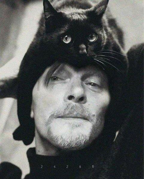 Ничего милее ты больше не увидишь