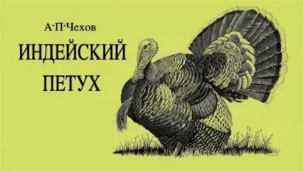 Чехов.индейский петух