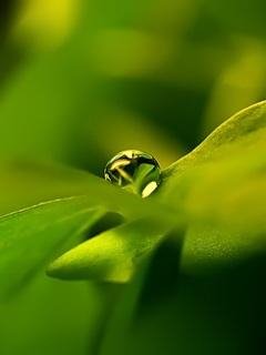 Красивая природа