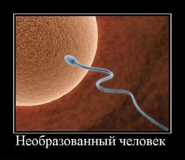 Да уж