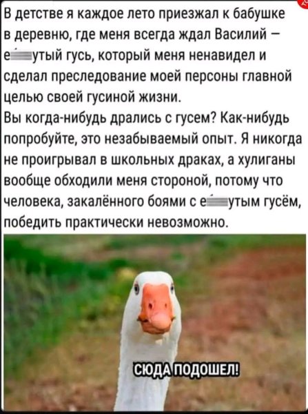 file_102197473