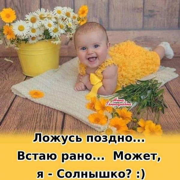 FB IMG 16234207269481052
