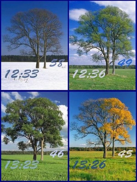 Времена года-4