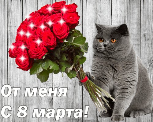 Анимированная открытка 8 марта