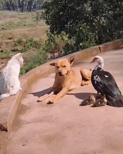 Когда понравился блондинке но у тебя жена и дети