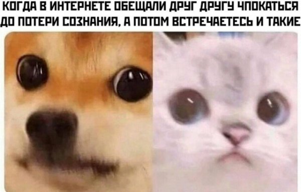 I - 2026-04-15T055004.925