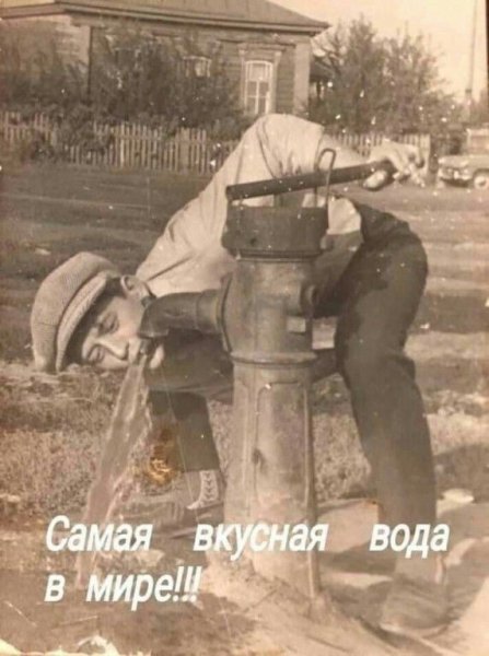 D81fec6fd6e31c8b3da0ec73fcb3b959